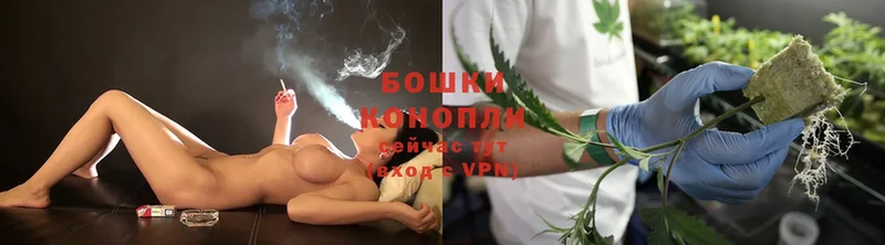 где можно купить наркотик  Старая Купавна  Бошки Шишки SATIVA & INDICA 